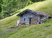 Salita in Val Sanguigno al Rif. Gianpace e al Passo di Zulino il 18 luglio 2010 - FOTOGALLERY